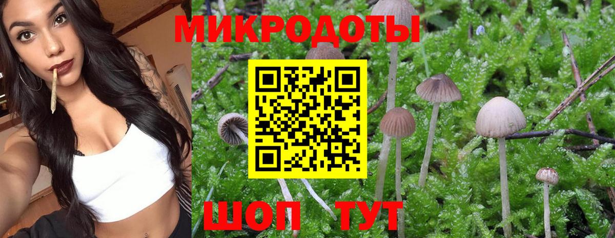 Галлюциногенные грибы Cubensis  Вход с VPN  Прокопьевск 